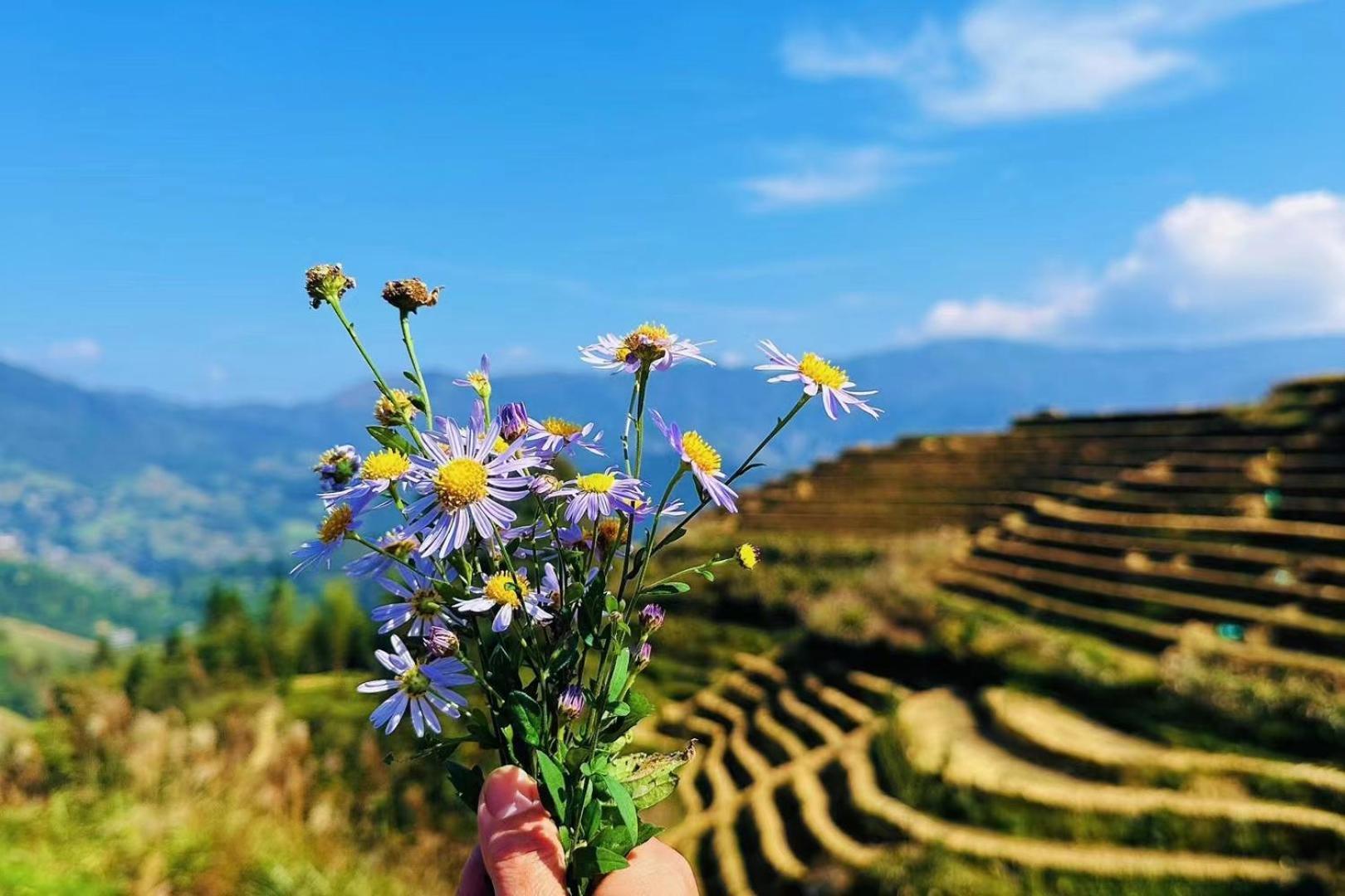 Helen'S Cozy Inn Longsheng Εξωτερικό φωτογραφία