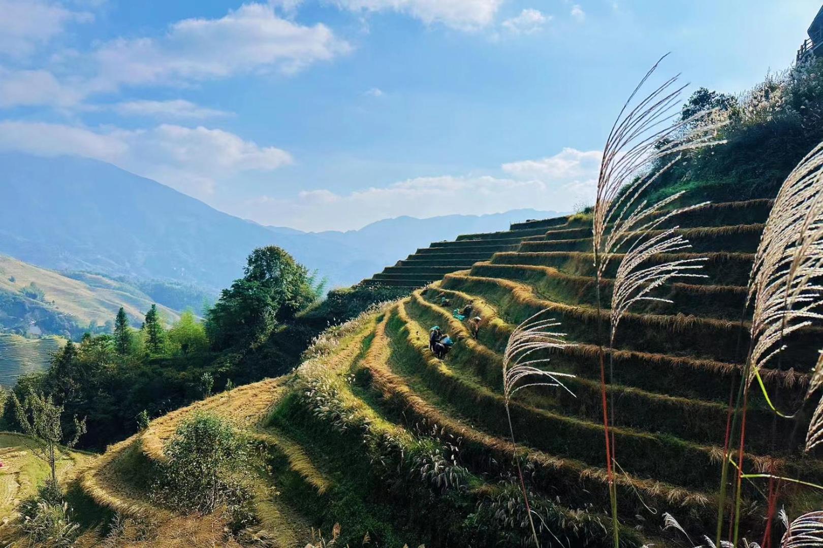 Helen'S Cozy Inn Longsheng Εξωτερικό φωτογραφία