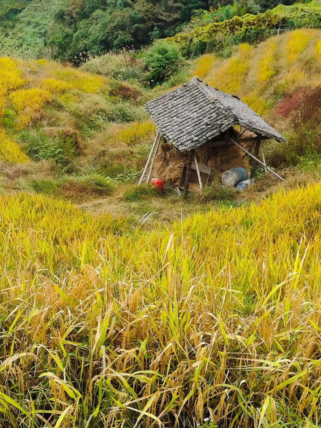 Helen'S Cozy Inn Longsheng Εξωτερικό φωτογραφία